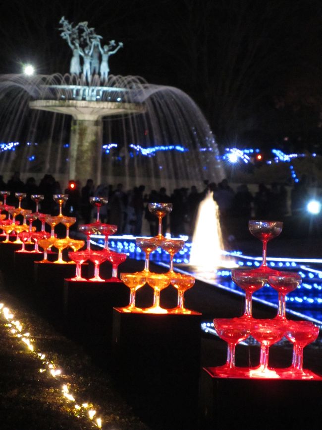 1)　夜のイルミネーション 東京のX'masイルミネーション_国立昭和記念公園（その1／2_