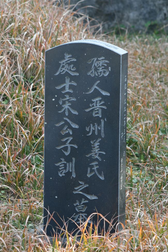 2010暮、韓国紀行22(4/25):12月21日(3):済州島・牛島、牛島峰、ゴリラ岩