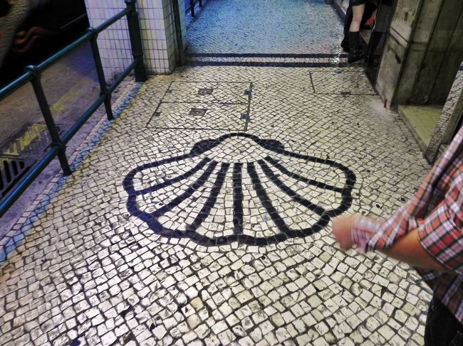 ほたてじゃなくてシャコ貝かな？