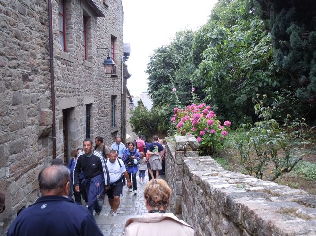 帰りは、中道を下ります。