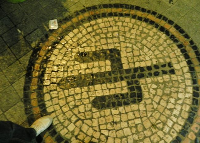 あら、さぼてん？