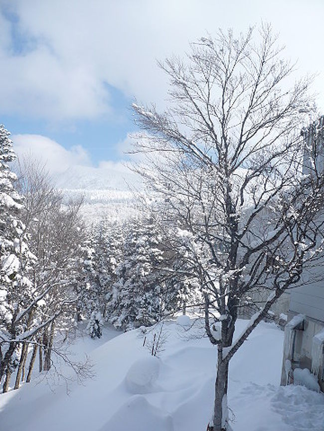 蔵王のモンスターツリーを見に 山形編 蔵王温泉 山形県 の旅行記 ブログ By Fuさん フォートラベル