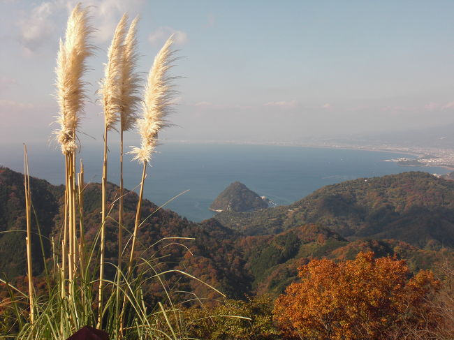 駿河湾も綺麗に見えます。