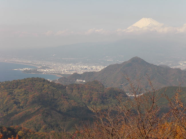 富士山をバックに沼津の街がみえました。