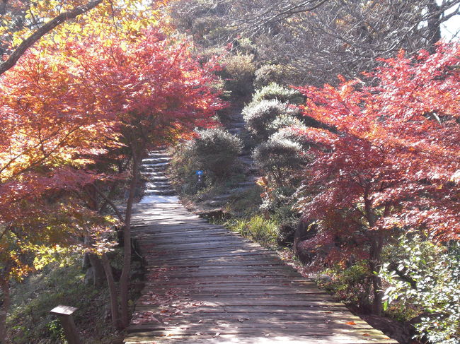 山頂にはぶら〜っと散策できるようになってました。下からハイキングされている人もいらっしゃって、お弁当を囲んで楽しそうにしてました。紅葉見物よりも団子が食べたくなってきました。
