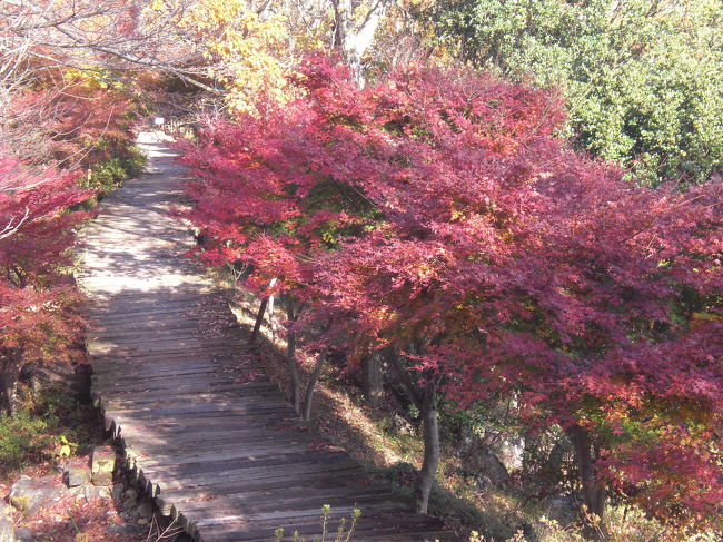 散歩もそこそこに・・・ゴンドラ乗り場へ戻り、団子をいただきました。