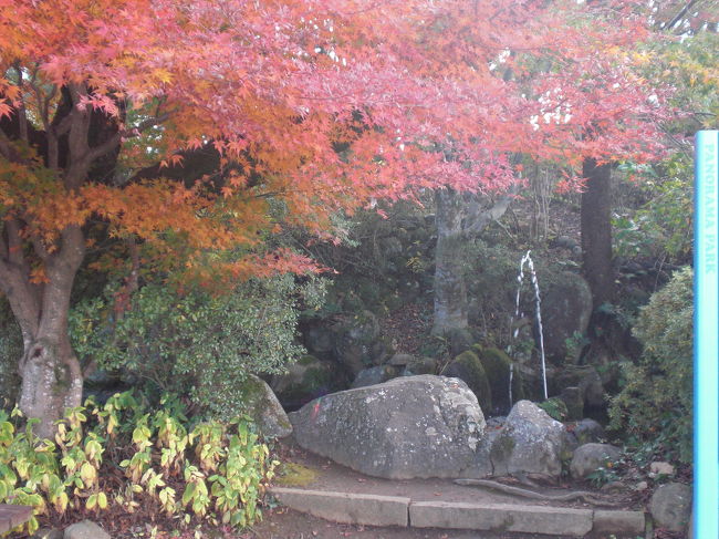 売店の横には小さな滝がありました。