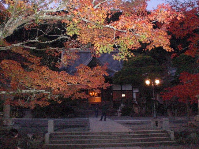 16:30を過ぎてかなり暗くなってきました。