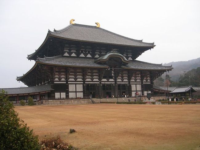 大仏殿（金堂）です。こちらも国宝に指定されています。