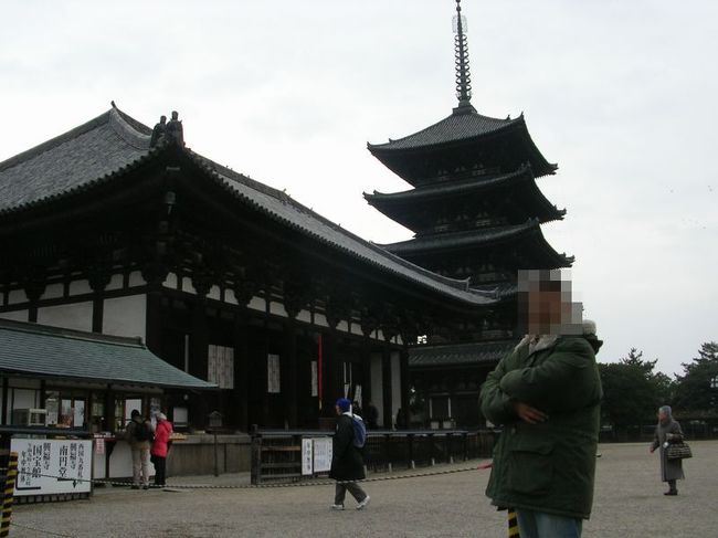 興福寺五重塔です。法相宗の大本山の寺院でもあります。