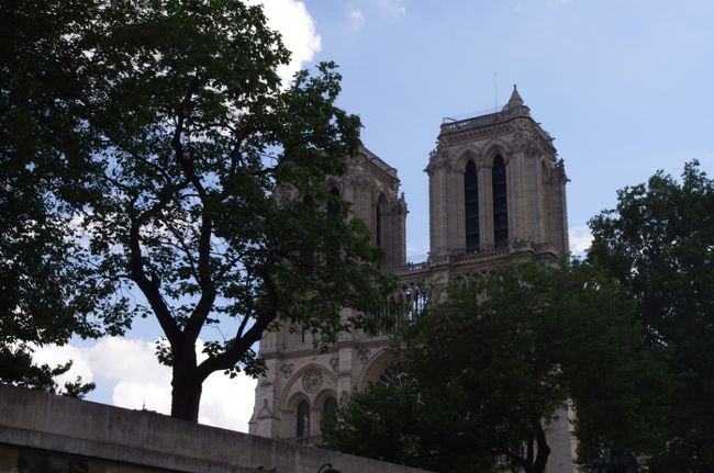 ノートル・ダム大聖堂が見えてきました。