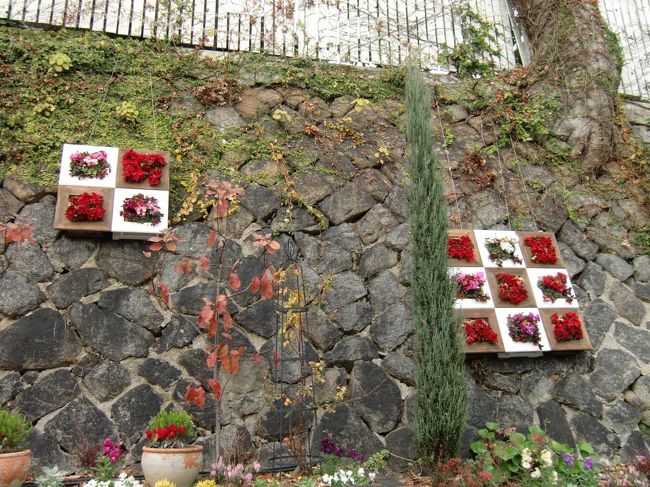 こんな石垣にも、クリスマスを意識して飾ってありました。<br /><br />細かい演出ですね。