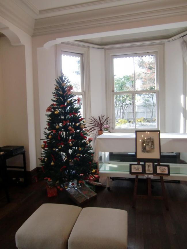 やはりクリスマスツリーがリビングに飾ってありました。