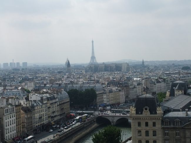 高いところからエッフェル塔を見られるのって貴重かも。