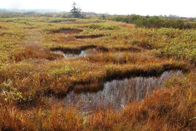 弥陀ヶ原・ガキ田