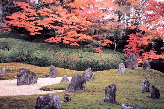 東福寺塔頭光明院・波心の庭