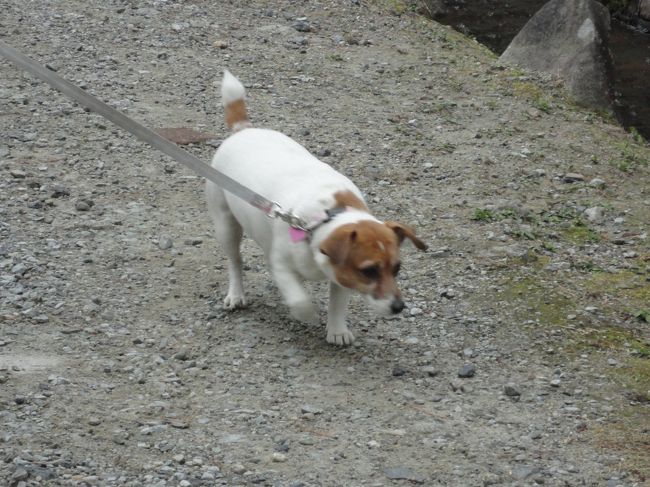 そろそろ帰ります。