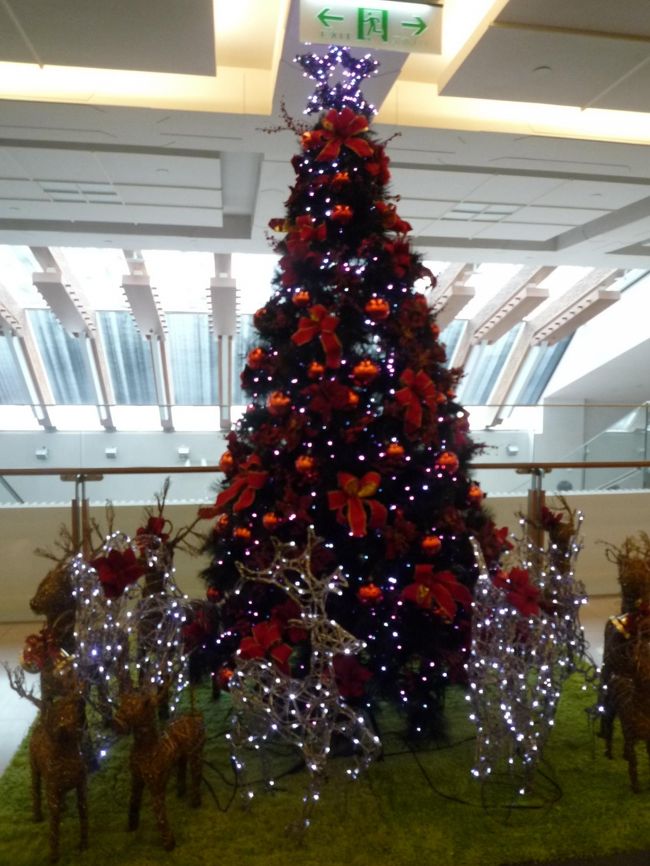 このクリスマスツリーは故宮博物館のもの。<br /><br />後になって気がついたのですが故宮博物館の外観の写真をとり忘れました＾＾；<br />残念。。。