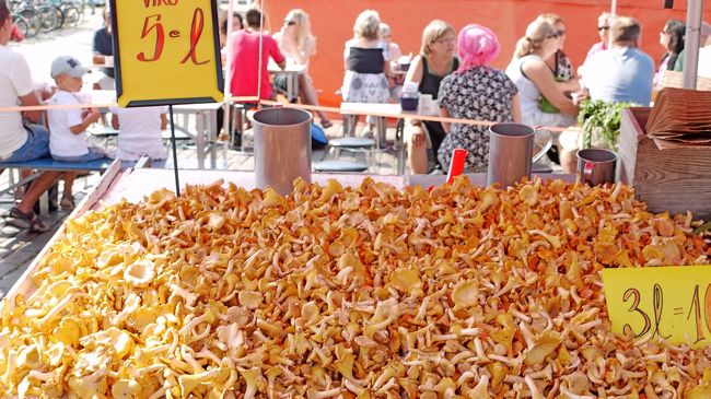 Kantarelli　フィンランド人が好きなキノコ．Viro=エストニアから．炒めるとおいしい