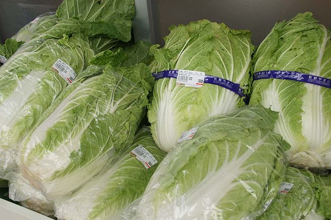 ●つげの畑 高原屋＠道の駅針テラス<br /><br />一番目を引いたのは、この白菜。<br />入り口のそばに置いてあったのですが、この大きさ。<br />勿論、買って帰りました。(旅は始まったばかりなのに…)<br />