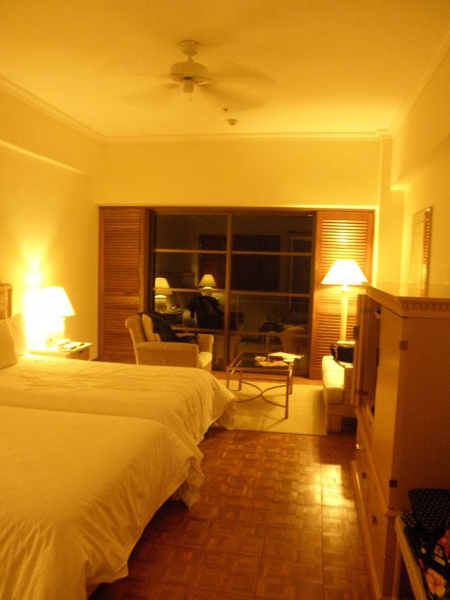 ホテルはブセナテラスです。<br />口コミと皆さんの意見を参考にさせていただきました！<br />ロビーでチェックインをしている時からもう素敵なホテル〜！って興奮してました（笑）<br /><br />オーシャンビューの部屋だったので海が目の前でした。<br />アメニティはロクシタンで…<br />本当に素敵ホテルでした。<br /><br />本当はこのあとすぐに東南植物楽園へいってイルミネーションを見ようと思っていたのですが、寒さで疲れきっており、とりあえず食事をするべく出かけました。<br /><br />夕食は…お腹すききで行ったので、写真撮るの忘れました…<br />お店の名前忘れちゃったんですが…ローソンの隣で沖縄の歌を歌うライブが開かれていました。<br />グルクンのからあげとか、海ぶどうとマグロのカルパッチョとか…美味しかったです！<br />