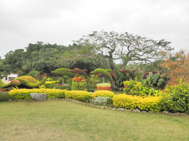 車で走る事45分くらい…<br />美ら海水族館のある海洋博公園につきました〜！<br /><br />植木で海の生き物が作られていました♪