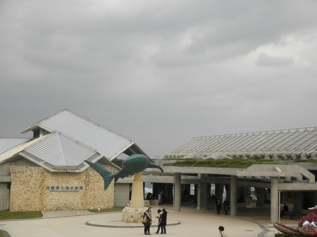 美ら海水族館です。<br /><br />9時半くらいについたのですが…けっこう人がいました。<br />さすが人気スポットです。