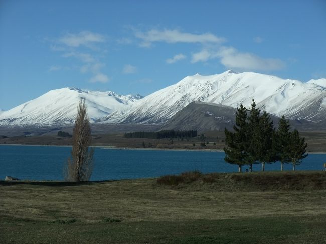 １６：３０　テカポ湖<br />南北に３０ｋｍ、最大水深１２０ｍ、夏でも８度位で泳ぐのは難しい。<br />ニュージーランドで一番星が綺麗な所。<br />