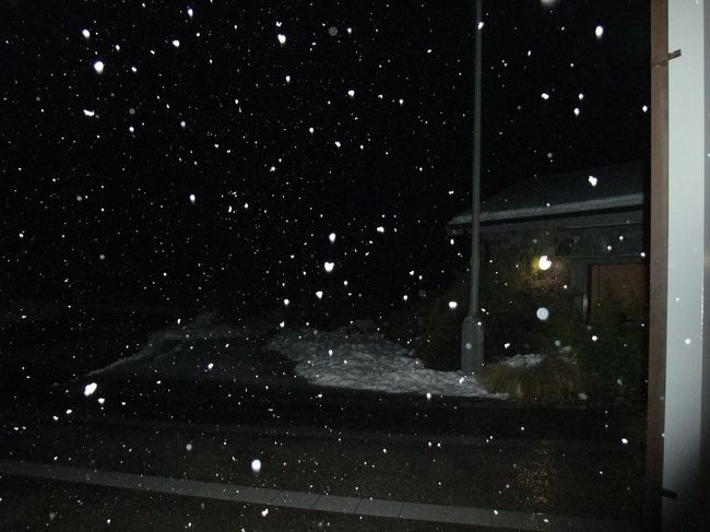 残念、雪がこんなに降ってきました<br />明日のハイキングも心配です…