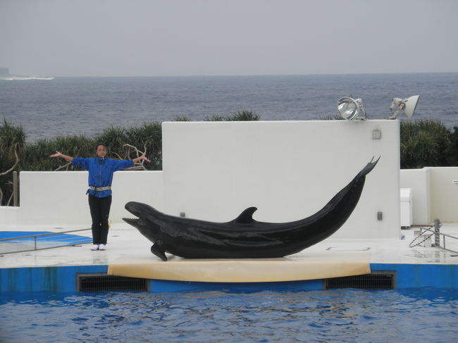 お土産を購入して、イルカショーへ。<br />開演間近だったので、既にほぼ満席でした。<br /><br />イルカショーはやっぱり楽しいから外せません☆<br />このあと、マナティやウミガメをみて、次の目的地へ。<br />すでに予定時間2時間をとっくに超えた3時間を経過していたので、急いで向かいます！！<br /><br />本当は公園内の熱帯園とかみたかったんだけど…<br />公園とか好きなんで、一日いられるところだな〜って感じました。<br />次回は一日居て、じっくりもう少しじっくり水族館とか公園内を回りたいなと思います♪