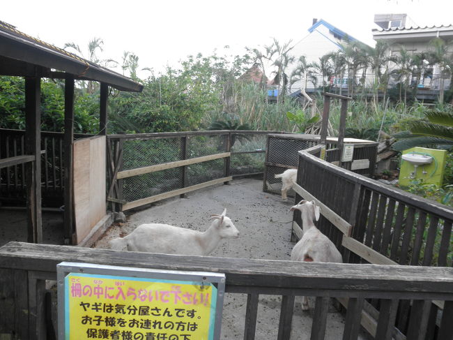 フルーツランド、時期が悪かったのかな；<br />あまり実はありませんでした（笑）<br /><br />夏ならたくさん実ってるのかな。<br /><br />やぎさんがいたのでとりあえずパチリ。