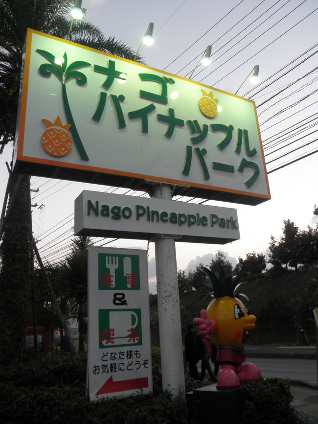 フルーツランドのほぼ隣、パイナップルパークへやってきました。<br />ここもクーポン使用です。<br /><br />こちらはフルーツランドよりにぎわっていました。<br /><br />徒歩で回るか、乗り物に乗るかという事で乗り物は追加料金が必要なんで（笑）徒歩にしました。<br />通常料金で入ると乗り物は乗れるようです。<br />