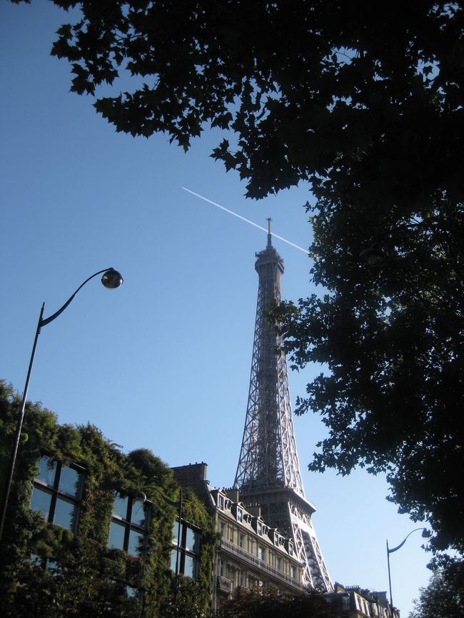 だんだん近づいてきました！