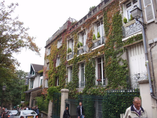 良い感じのつるですね。