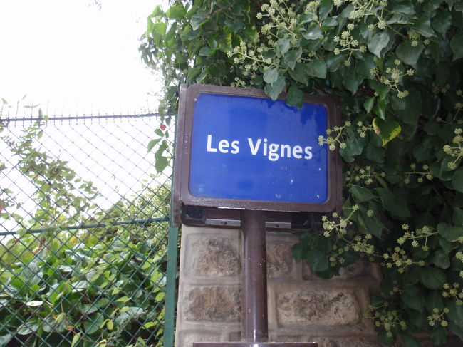 友達君がぶどう畑を見たいと言っていたので、さらに歩きたどり着きました。