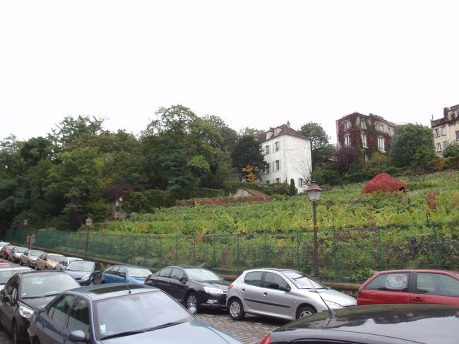 友達君いわく、ここのワインはどこで買えるの？とのこと。<br /><br />レア物だから買えるわけないだろう！と一喝したらがっくり来ていました。