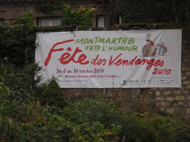 一週間後のワインフェスティバルへ行きたがっていました。