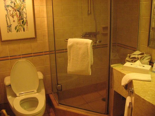 シャワーブースがあるのは便利でした。水圧は少し弱めかな。可動式のシャワー。<br /><br />トイレの水量は1179は弱かったです。必ず2回流していました。反対に1177は夜中に水が止まらなくなるトラブル！人を呼ぶのも面倒な時間だったので旦那がタンクを開けて自分で直しちゃいました。<br /><br />