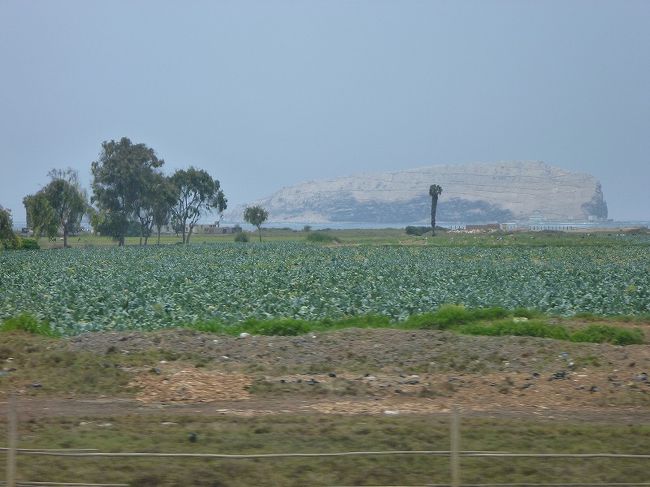 海にパチャカマック島、日差しが強くて島がくっきりととらえられない！