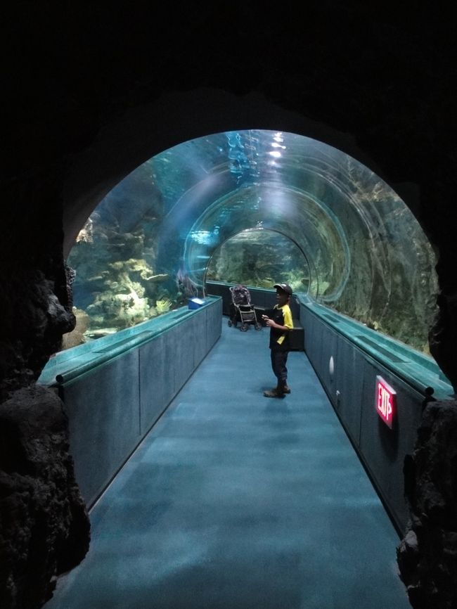 ここまで来るのにホテルからツアーについていた乗り放題カードを利用してタモンシャトルでＤＦＳ前にてバスを降りたんですが、この時ＤＦＳの案内のおじさんが、「このカードを使って奥でスロット抽選ができるよ〜」と教えてくれました。<br /><br />すると長男が偶然にもアンダーワォーターワールドの25％割引券をゲット！なんてナイスタイミング♪と喜んでいたら見ていた係りのおじさんが何やら引き出しをガサゴソ探してもう一枚25％券をくれました！これで大人2人分割り引いてもらえる♪<br />おじさんサンキュウ〜！するとおじさん「こんなんもあるよ〜」とサンドキャッスルの割引券やらいろいろ見せてくれる。<br /><br />ココは観光斡旋も兼ねてるみたい。なんかあんまりスロットの意味ないな（笑）<br />けど、おかげで最終日に行く予定だったプラネットハリウッドの5％割引券も抽選で当たり。<br />私たちこのＤＦＳの抽選のこと全くノーマークだったので、なんだかとっても得した気分。ＤＦＳ周辺での観光や飲食の予定があるならココ、要チェックですね。