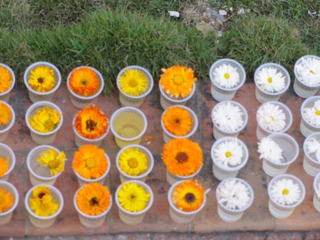 花がいれてあるところ。