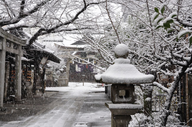 京都は大晦日から元旦は珍しく積雪でした 二条 烏丸 河原町 京都 の旅行記 ブログ By Sonotuneさん フォートラベル