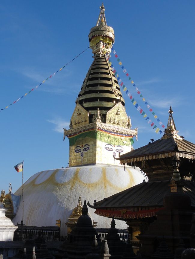 ホテルの屋上からも見えていたスワヤンブナートにとうとう来たよー。今日まで何度もあちこちでスワヤンブーもう行った？と聞かれたくらい、みんなに親しまれている場所らしい。