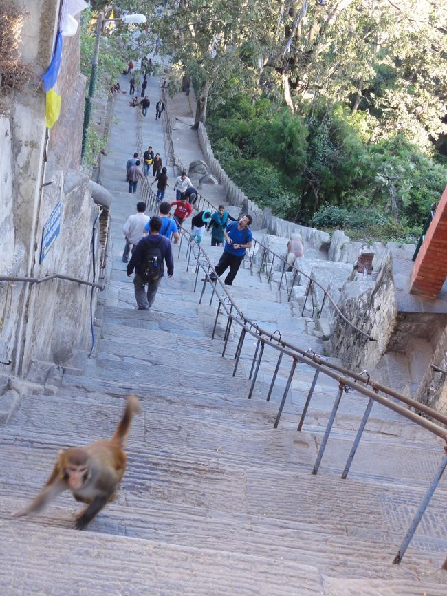 帰りは歩いて帰ることにして、旧道の急な階段を下りる。<br />このまわりには、物乞いの親子が多く座っているが、不思議なことに申し合わせたように生後5ヶ月くらいの赤ちゃんを抱いている。<br />悪いとは思うが、借りもの？と疑ってしまう。