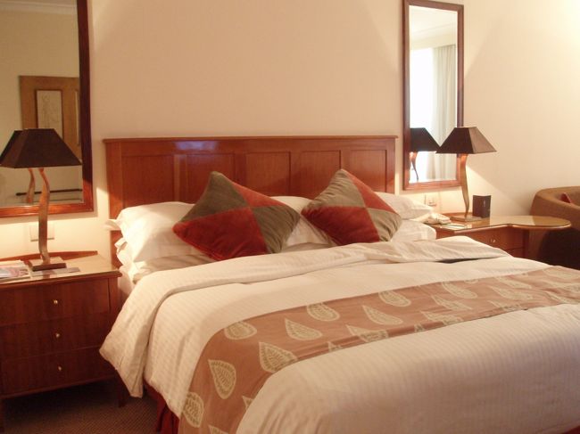 ベッドからは寝転んだ状態でピラミッドが見えます<br /><br />ホテルから市街地までは３０分以上かかります。<br />ホテルリムジンは片道２２０ポンド　タクシー４０ポンド程度でした<br />両方利用しましたが２２０ポンドはやはり高すぎます。<br />外に出てベルのおじさんにタクシー乗りたいというと道で拾ってくれます<br />といいますかタクシー乗り場はホテルに存在しません。