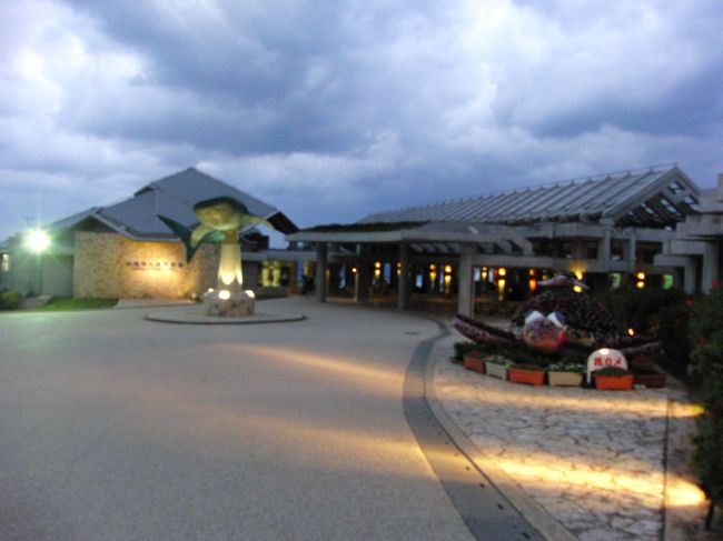 ２日目は、ゆっくりドライブしたり、<br /><br />美ら海水族館（夕方）にも行きました。<br /><br /><br />大晦日も開いてました。<br /><br />しかもいつもより、開場時間１時間延長でした☆