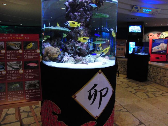 一通り楽しんで、帰りました〜