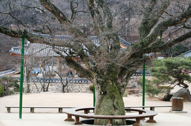 ⑨伝統寺(ジョンドゥンサ)<br /><br />＊韓国紀行21：ソウルとその近郊の世界遺産巡りの旅(伝統寺)<br />http://4travel.jp/traveler/tabitonokumasan/album/10437305/