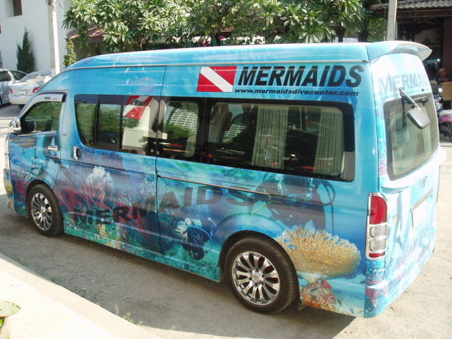 かわいいので思わず撮ってしまいました