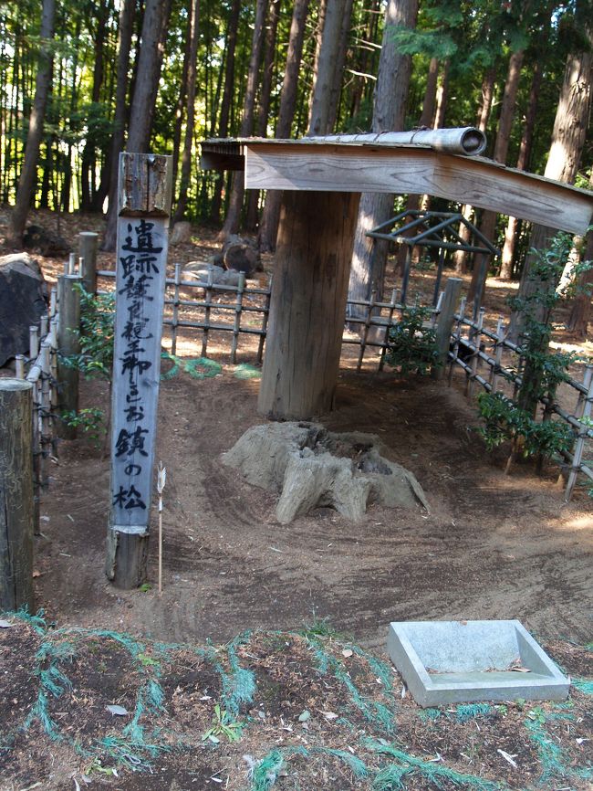 çå­ç¥ç¤¾å¢åã®ãå¾¡å¢ãã¨ããèæ¾ãã